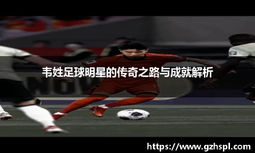韦姓足球明星的传奇之路与成就解析